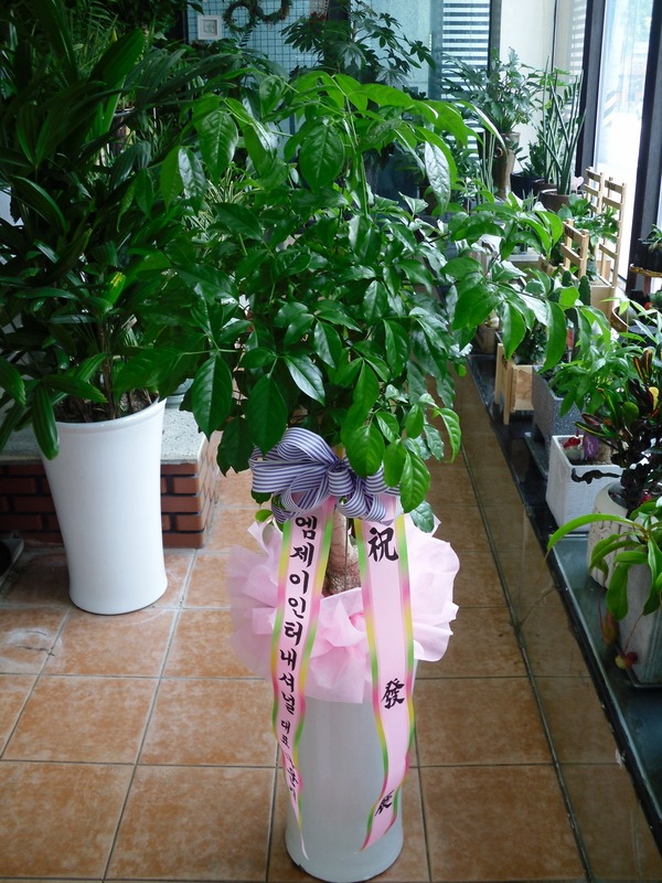 9��21��(������)