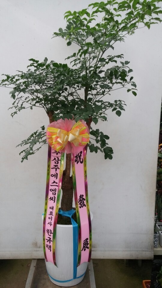 9��21��(������)