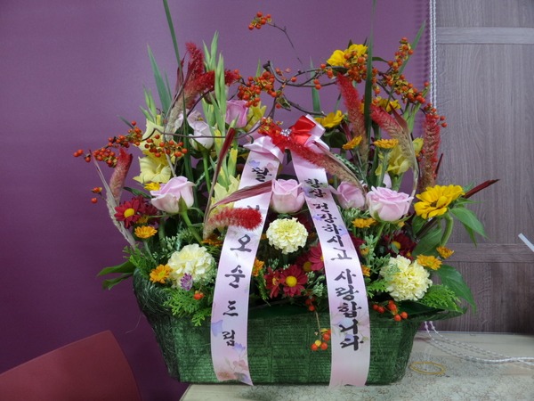 10��6��(�ݿ���)