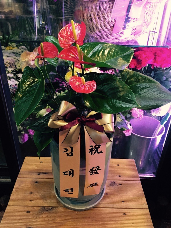 10��6��(�ݿ���)