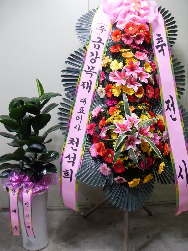 10��6��(�ݿ���)