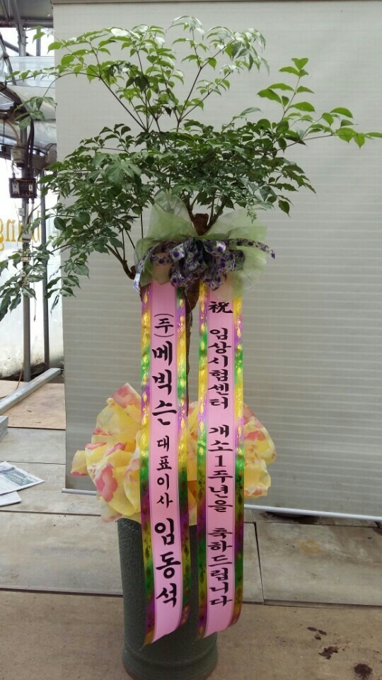 10��6��(�ݿ���)