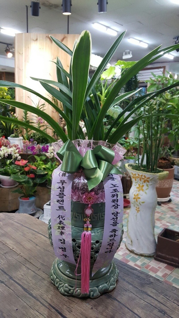 10��6��(�ݿ���)