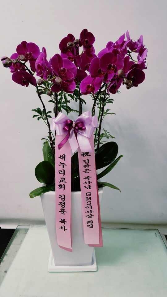 10��6��(�ݿ���)