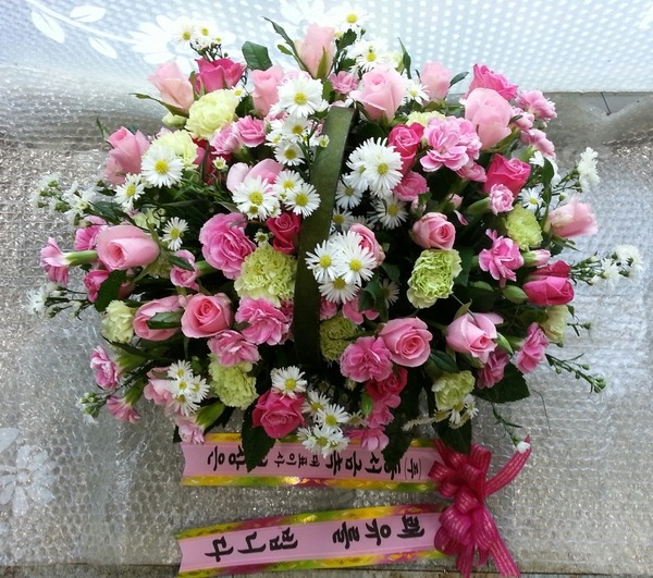 10��6��(�ݿ���)