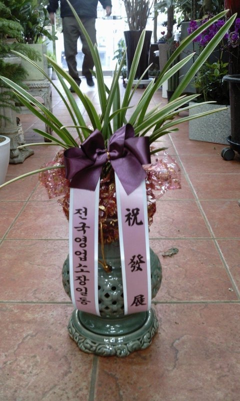 11��24��(�����)