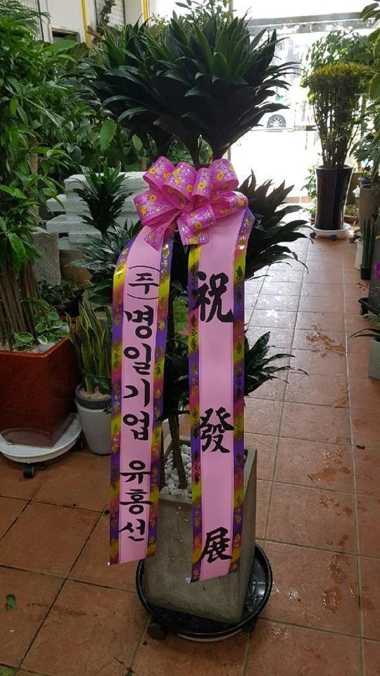 11��24��(�����)