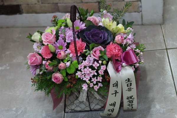 11��24��(�����)