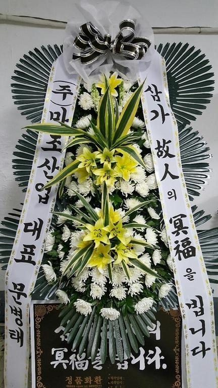 11��24��(�����)