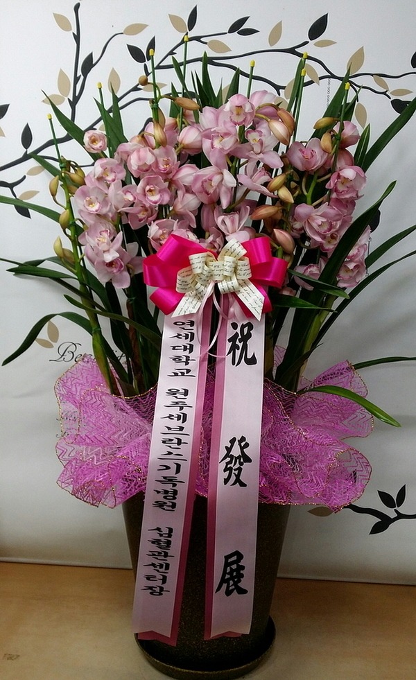 12��14��(������)