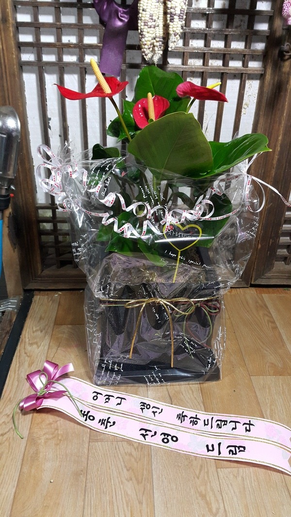 12��31��(�����)