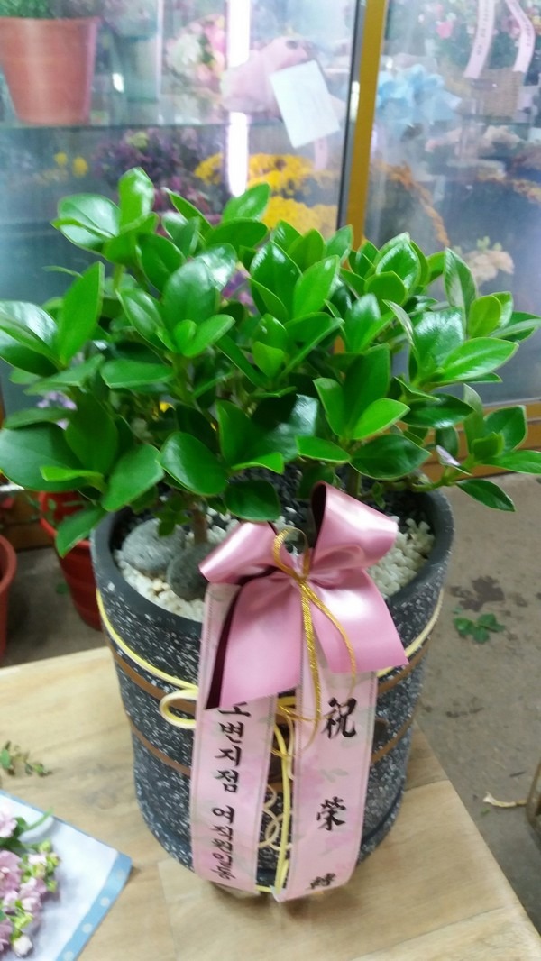 12��31��(�����)