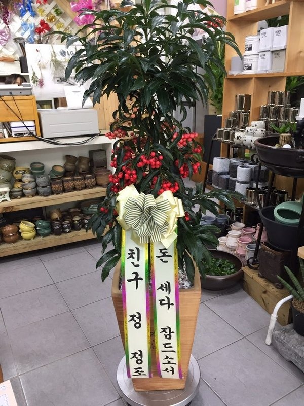 2017��1��10��(ȭ����)