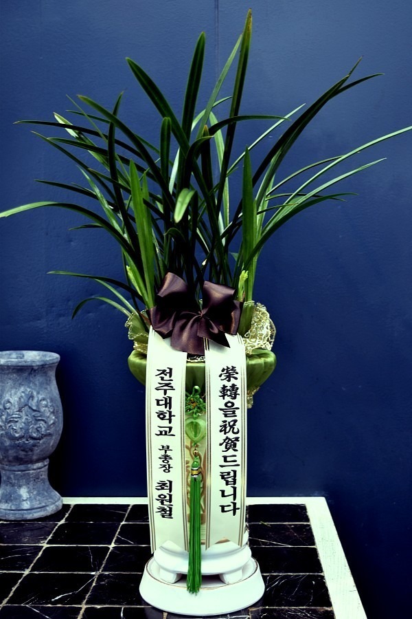 2017��1��10��(ȭ����)