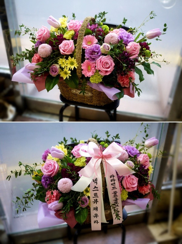 2017��1��10��(ȭ����)