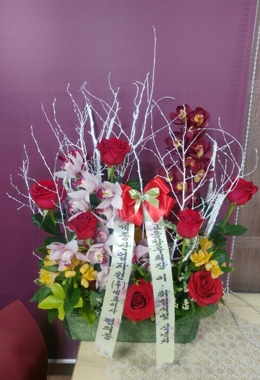 2017��1��10��(ȭ����)