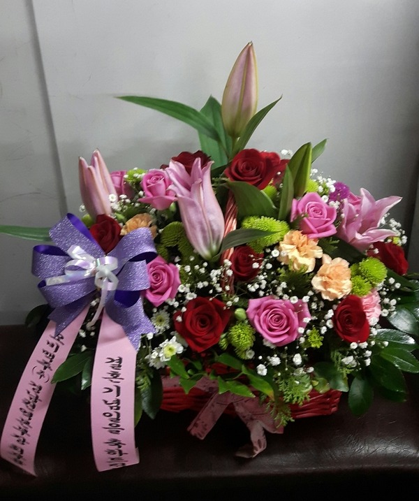 2017��1��10��(ȭ����)