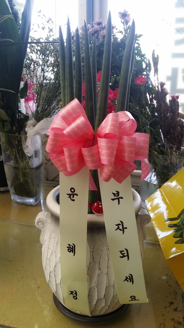 1��17��(ȭ����)