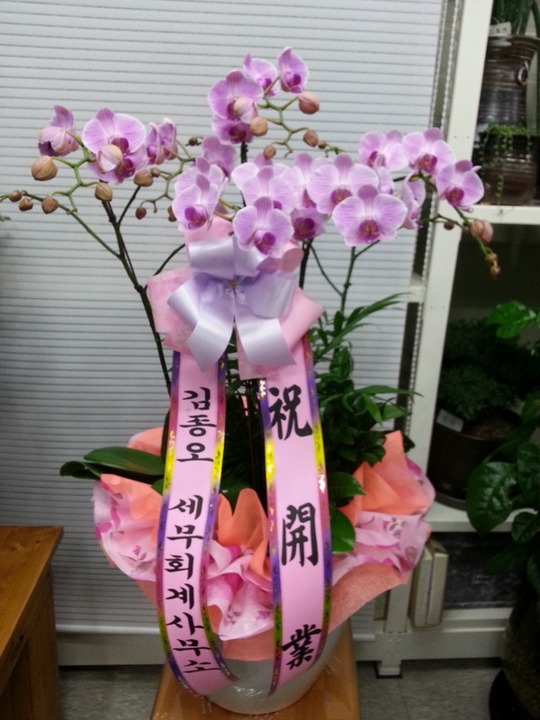 1��17��(ȭ����)