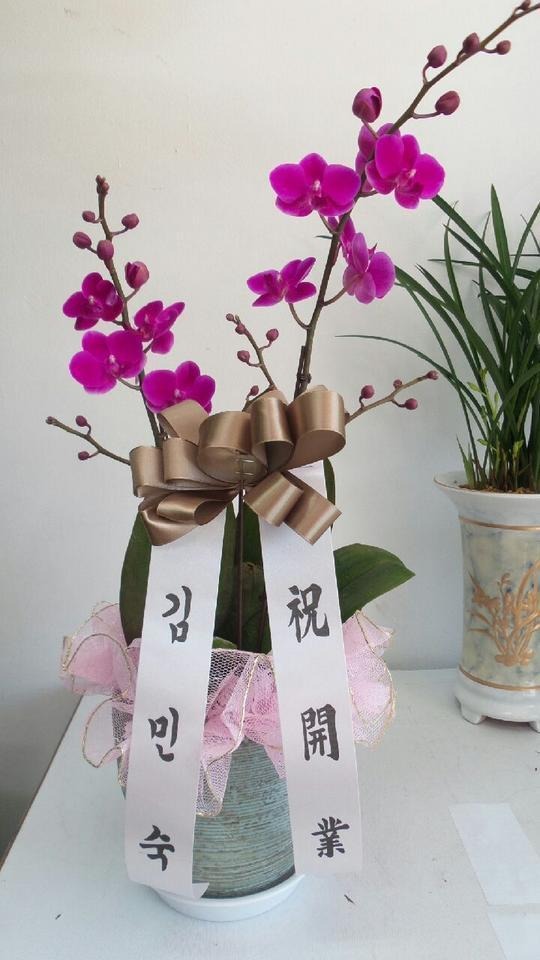 1��17��(ȭ����)