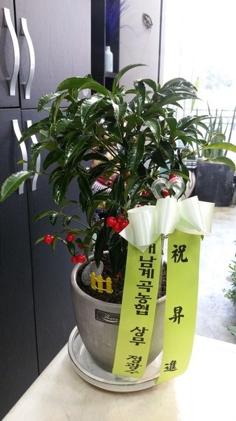 1��17��(ȭ����)