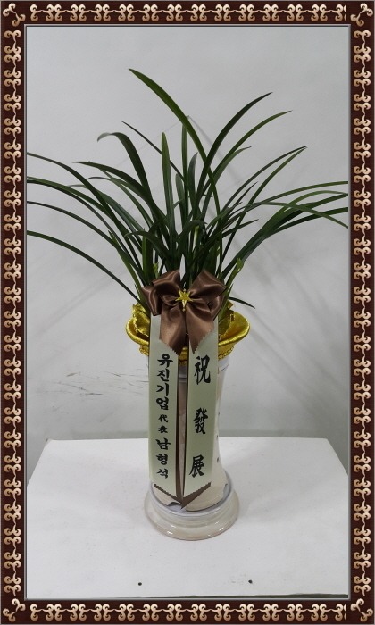 1��17��(ȭ����)