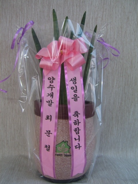 2��8��(������)