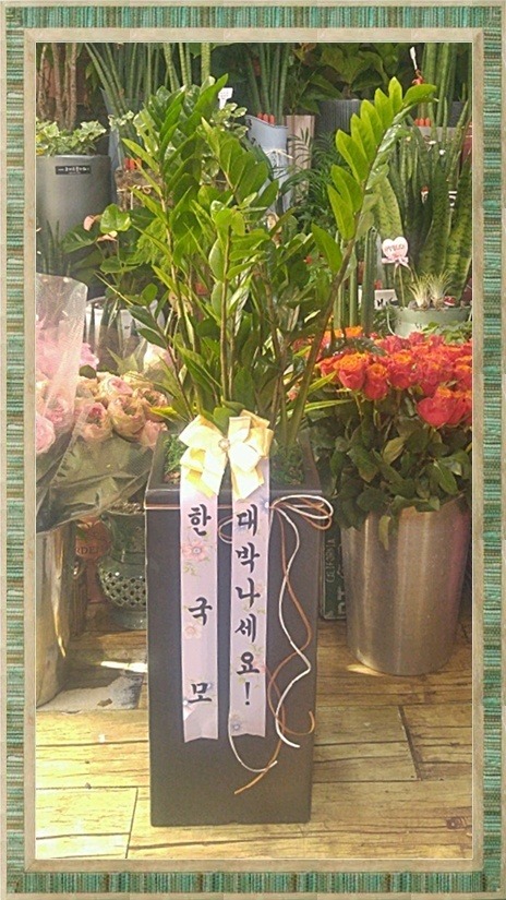 2��8��(������)