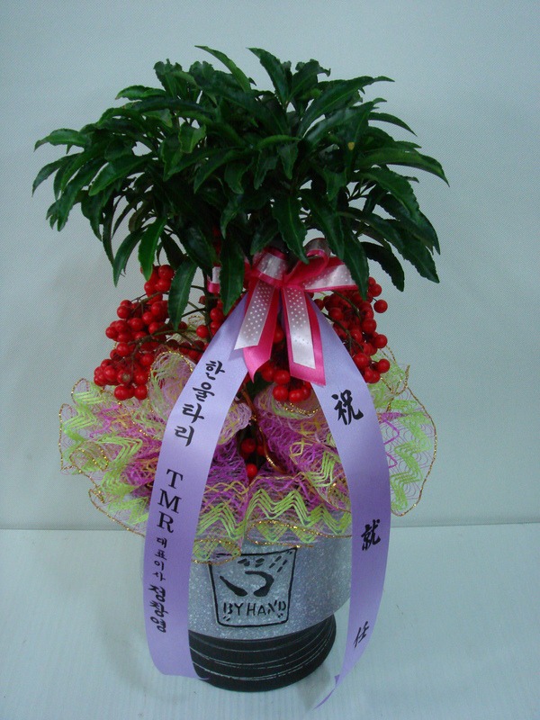 2��8��(������)