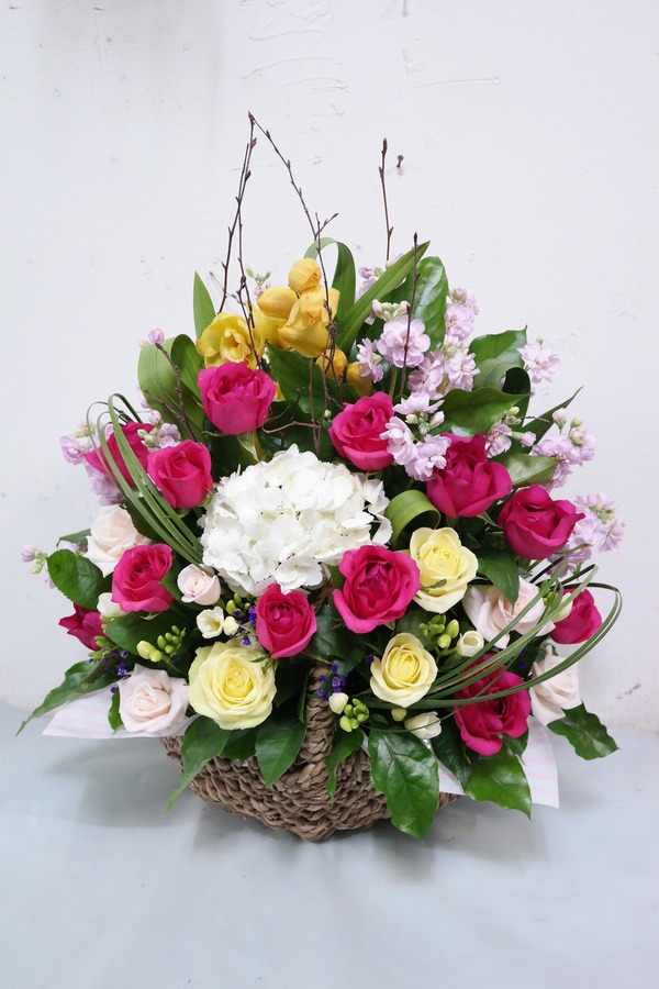 3��12��(�Ͽ���)