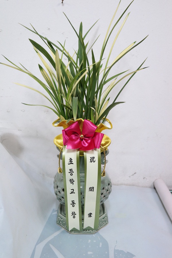 3��12��(�Ͽ���)