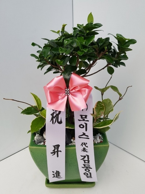 4��11��(ȭ����)