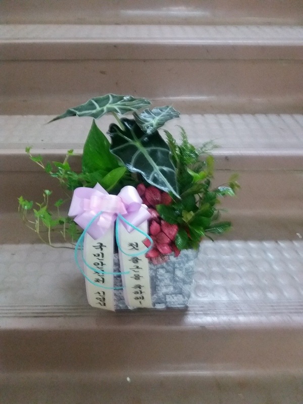 4��11��(ȭ����)