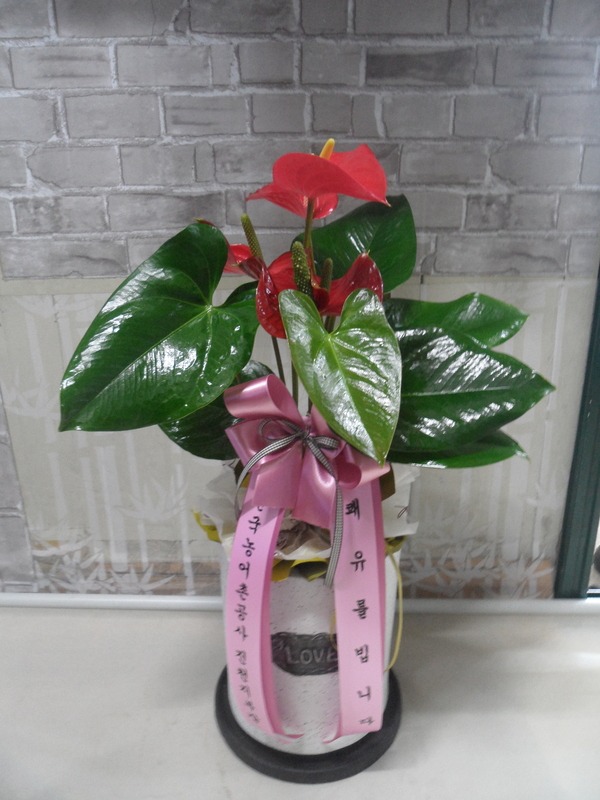 4��11��(ȭ����)