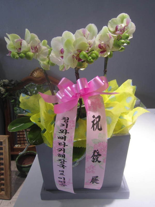 4��23��(�Ͽ���)