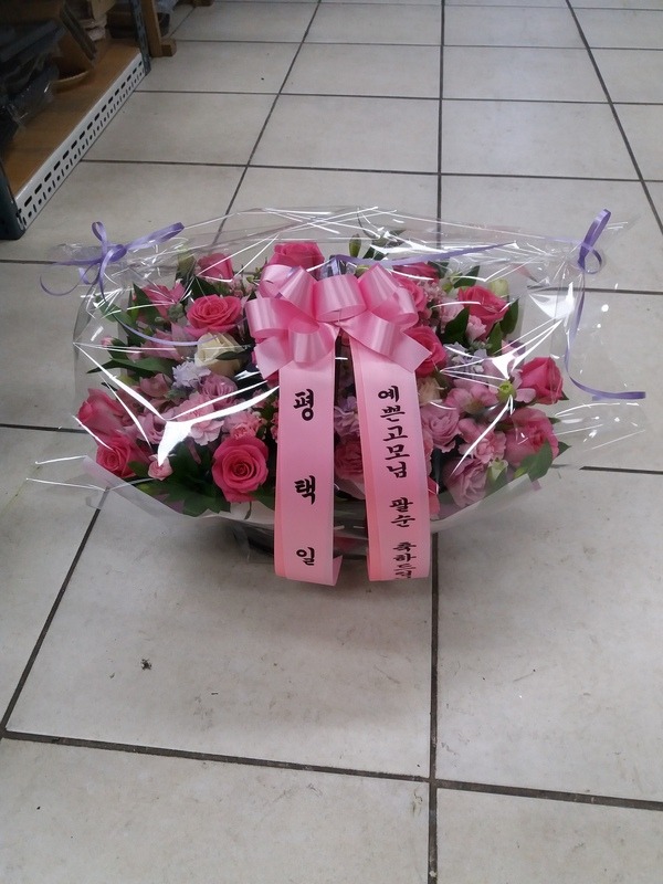 4��23��(�Ͽ���)