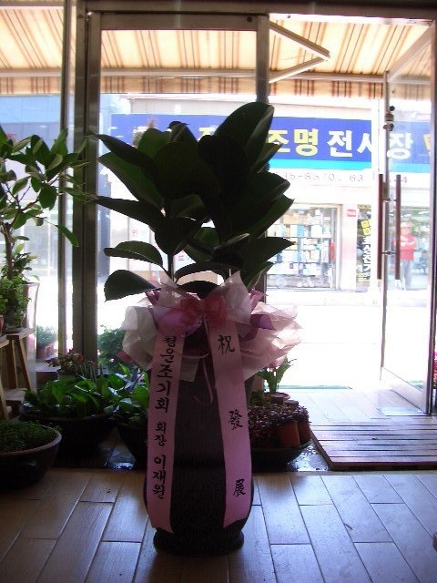 4��30��(�Ͽ���)