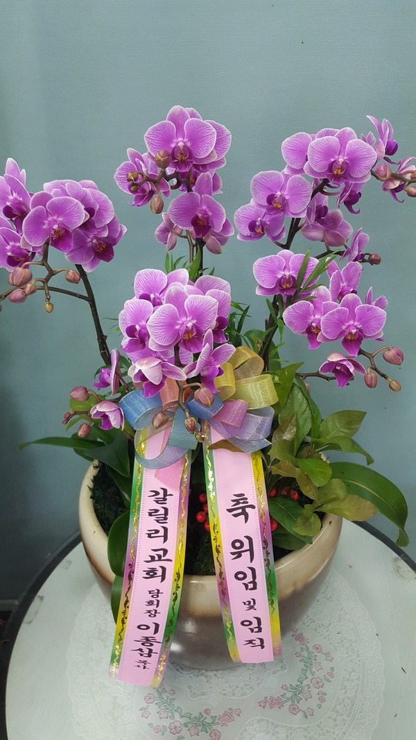 4��30��(�Ͽ���)