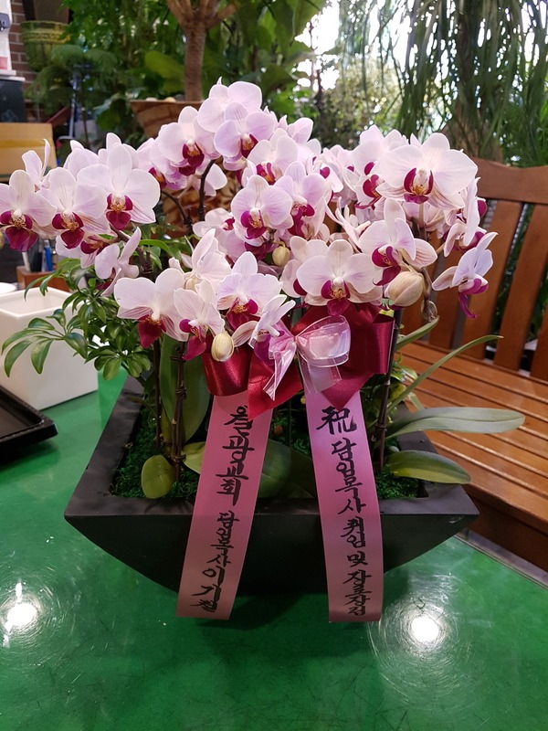 4��30��(�Ͽ���)