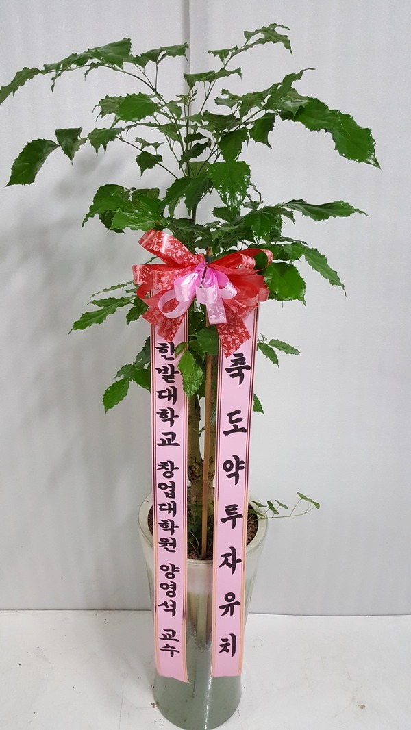 5��23��(ȭ����)