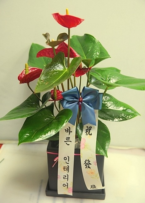 5��23��(ȭ����)