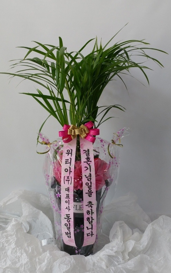 5��23��(ȭ����)