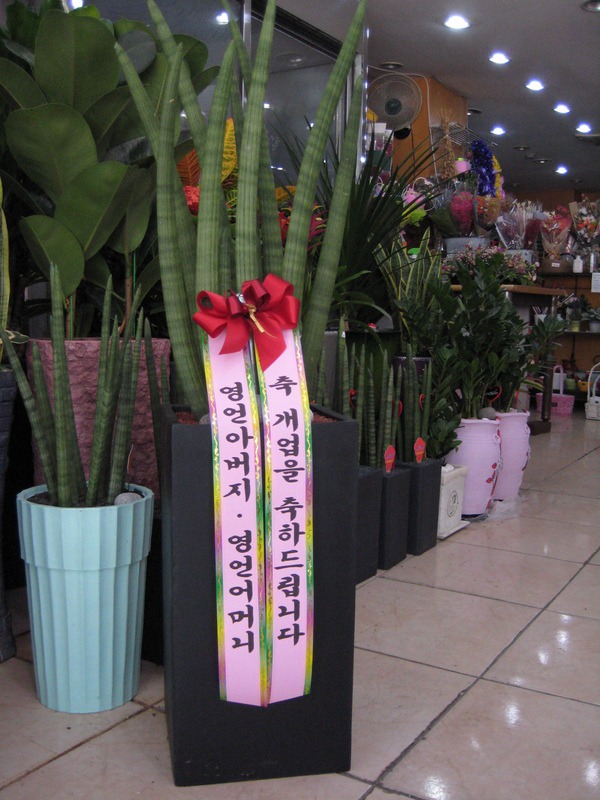 5��23��(ȭ����)