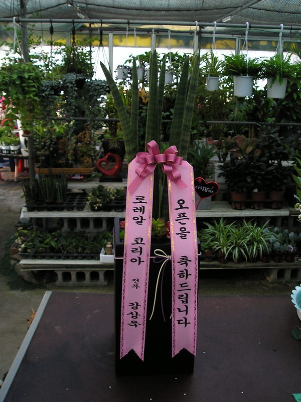 5��23��(ȭ����)