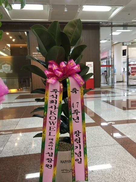 5��23��(ȭ����)