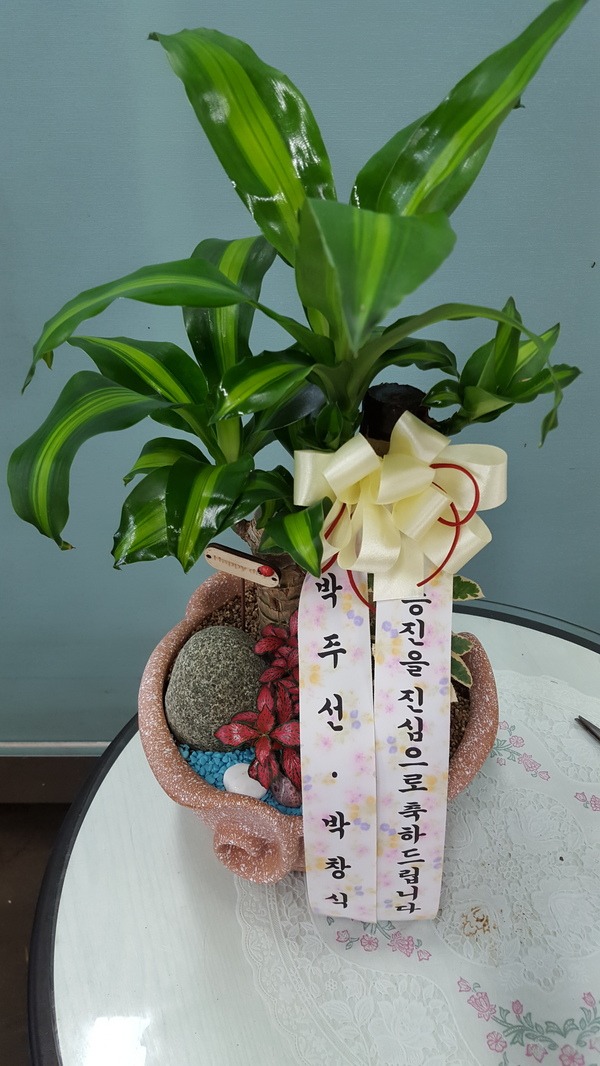 7��11��(ȭ����)