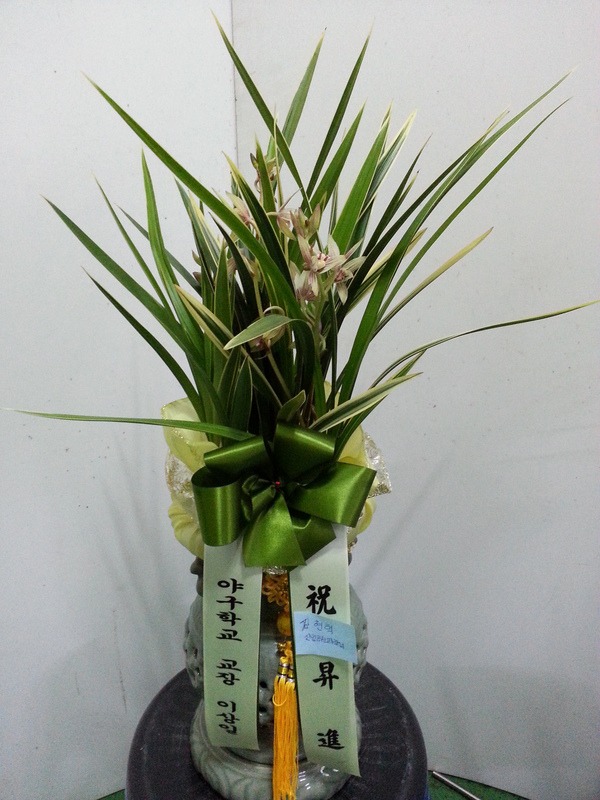 7��11��(ȭ����)