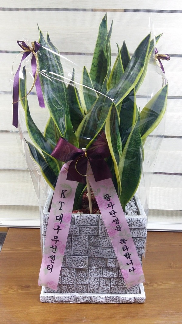 7��11��(ȭ����)