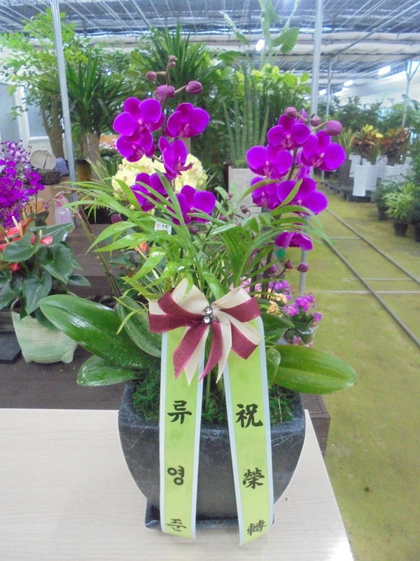 7��11��(ȭ����)