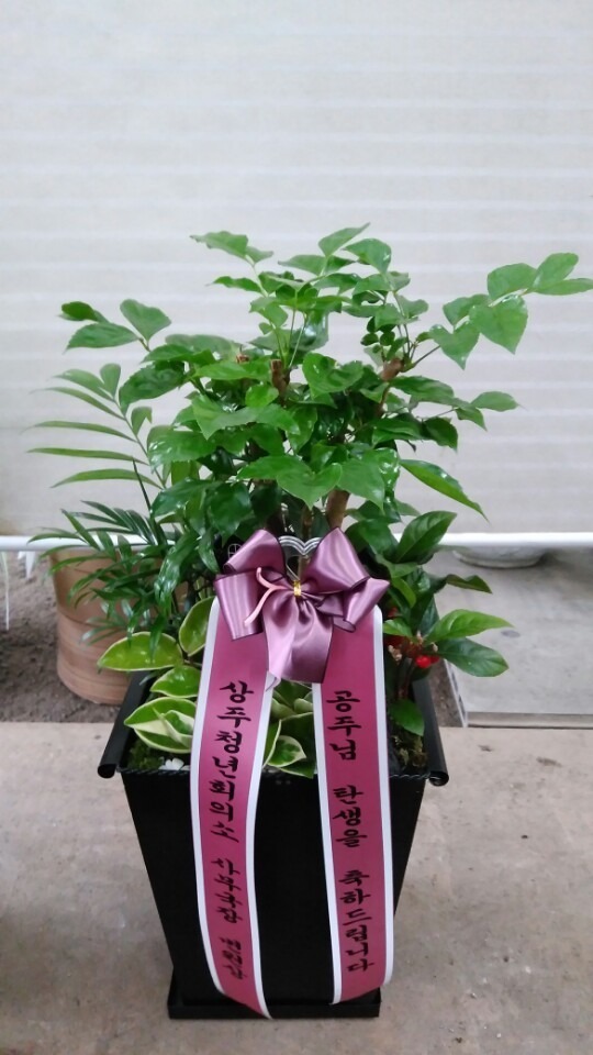 7��11��(ȭ����)